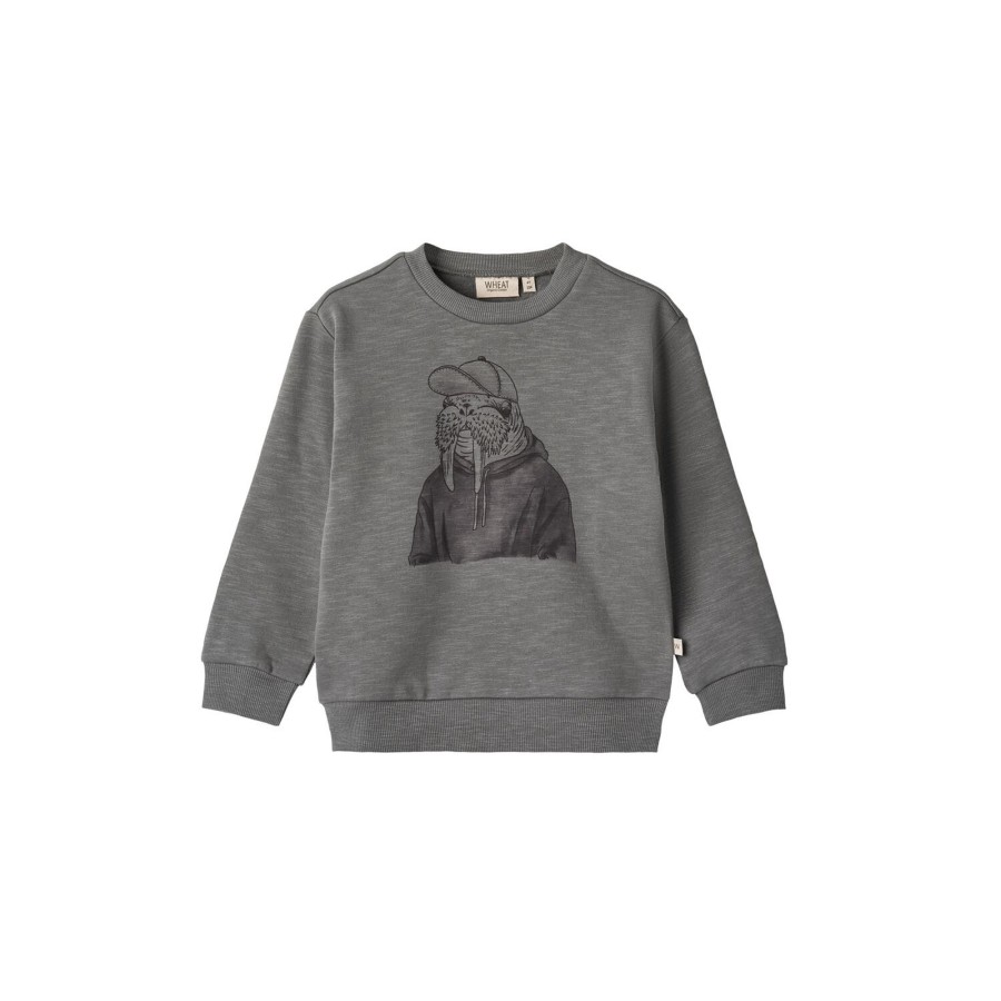 Born Wheat Sweatshirts & Sweatpants | Sweatshirt Walrus, 1525 Autumn Sky