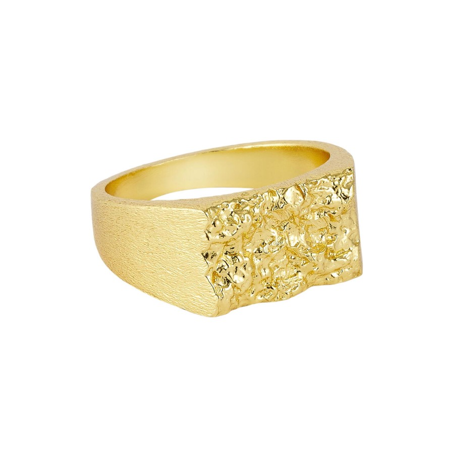 Dame Pure by Nat Ringe | Signet Ring, Guld