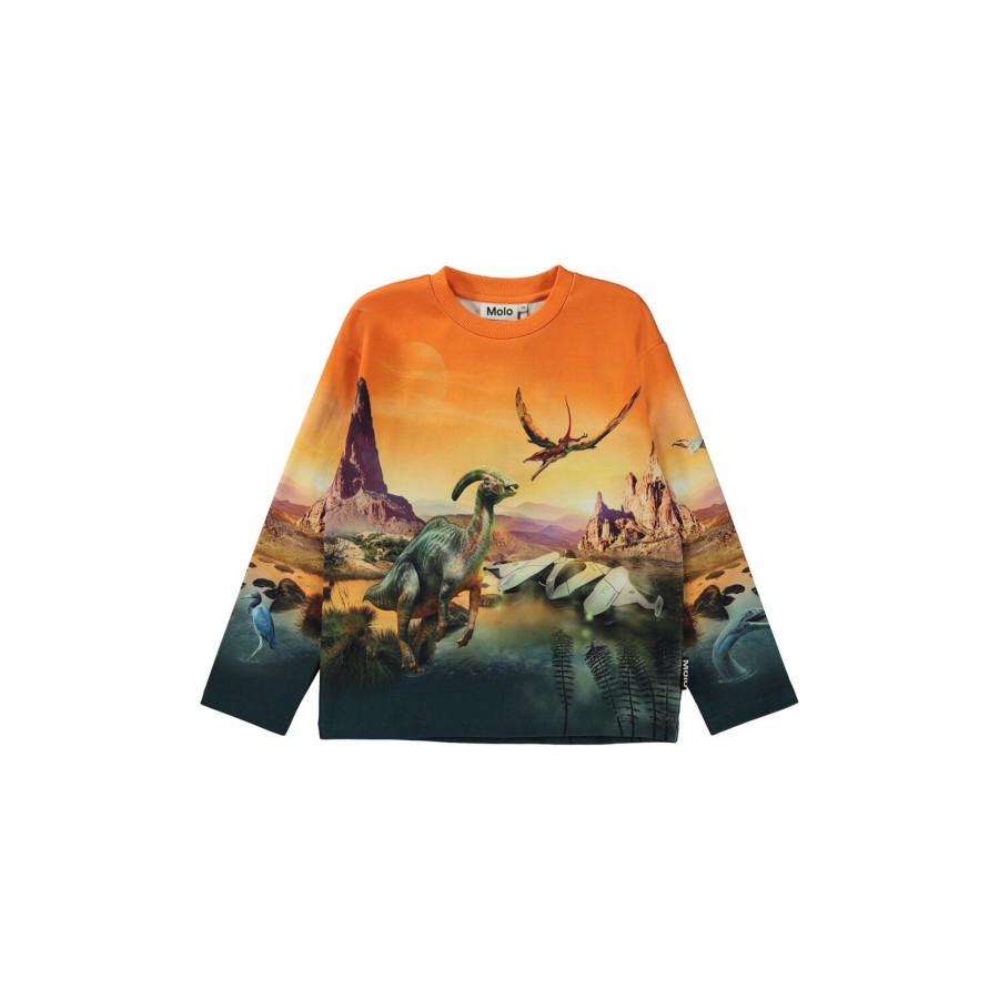 Born Molo Sweatshirts & Sweatpants | Mountoo Sweat Shirt, Dino Planet