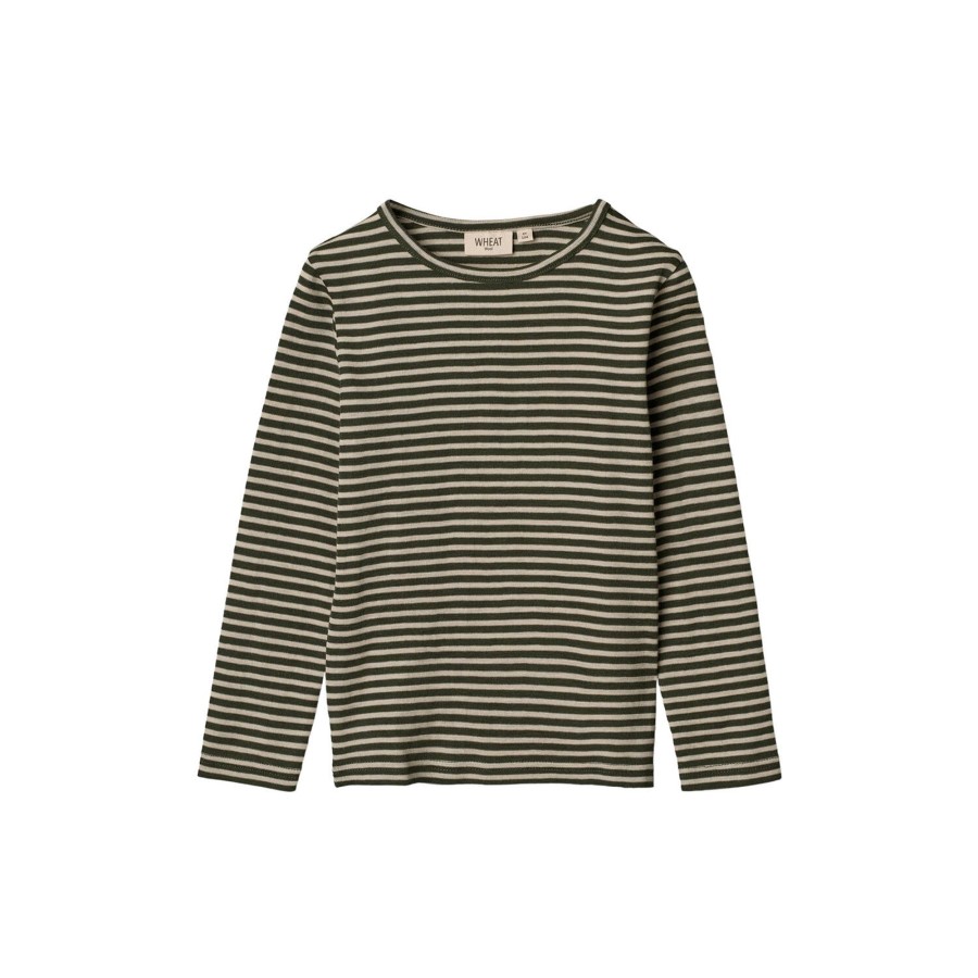 Born Wheat Bluser & Skjorter | Wool T-Shirt Ls, 4142 Green Stripe